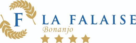 Hôtel La Falaise Bonanjo